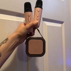 Two Microphones And A Speaker 