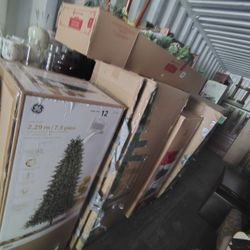 Christmas Trees