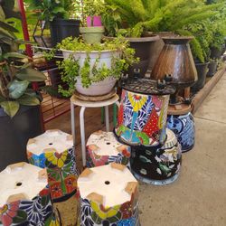 Plantas Y Flores 