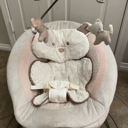 Fisher Price Baby Bouncer