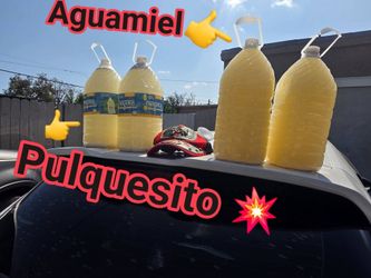 Muy Rico pulque artesanal