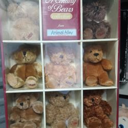 Brand New In The Box A Century Of Bears