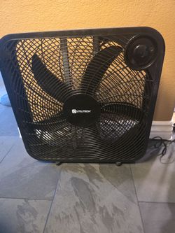 Fan