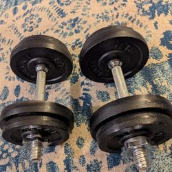 26 Pound Dumbbell Weights 