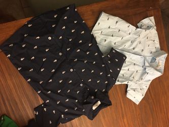 Boys Lacoste size 5/6