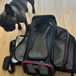 Expandable Pet Carrier