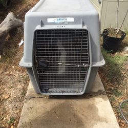 Giant Dog Kennel Large Enough For A Mastiff