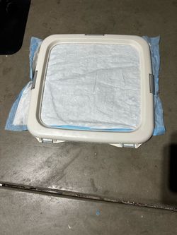 Dog pad training