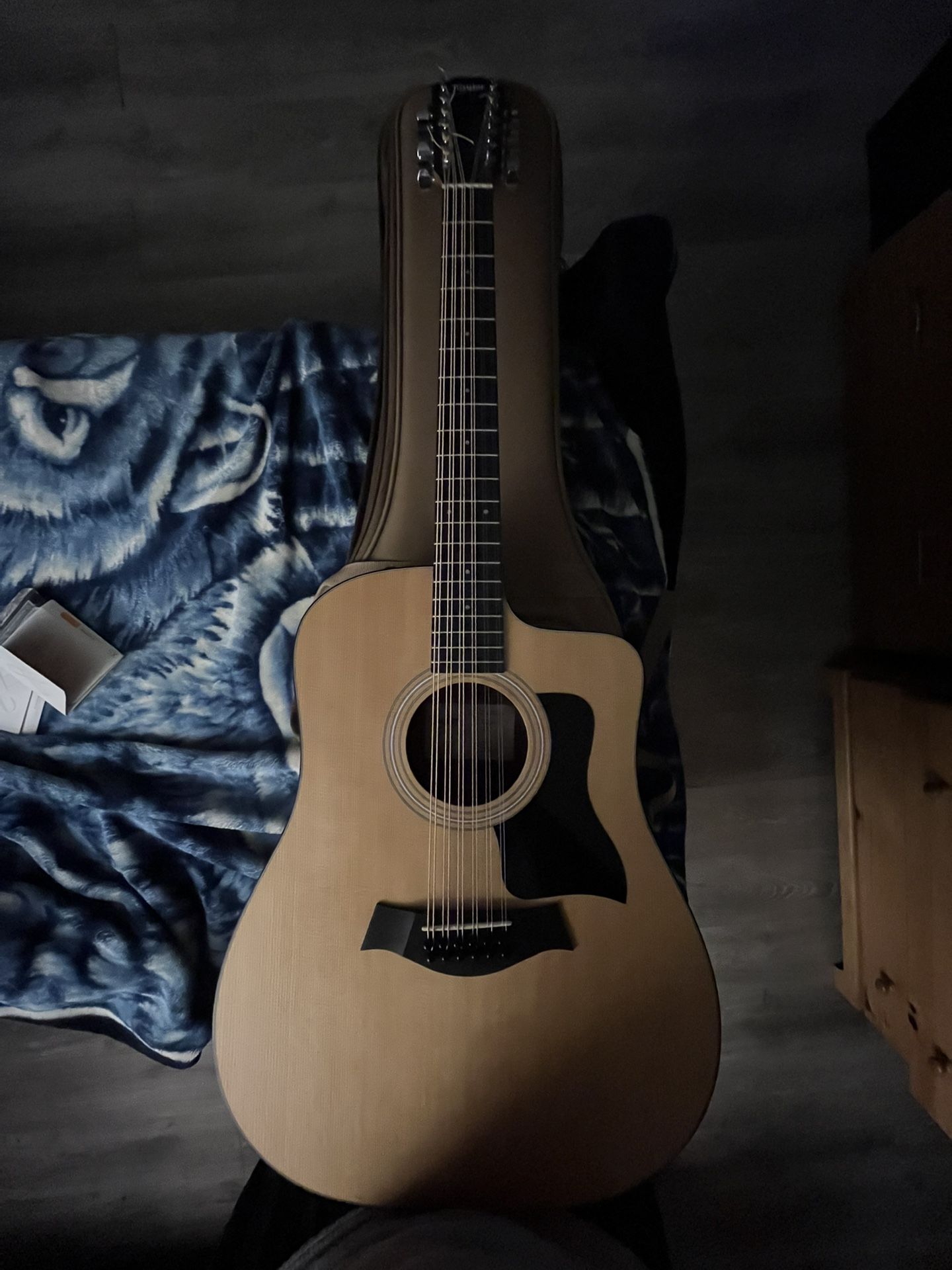Taylor 150ce 12-String