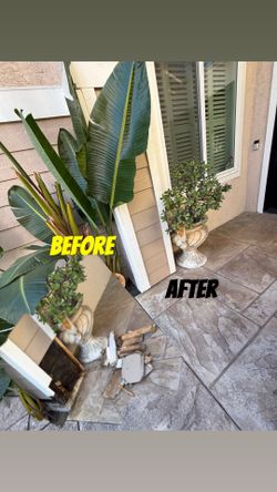 Wood repair