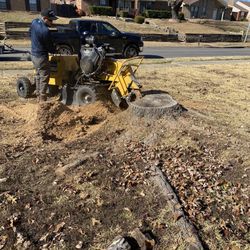 STUMP GRINDING