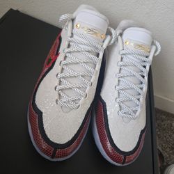 Lebron James Gameday Nikes 