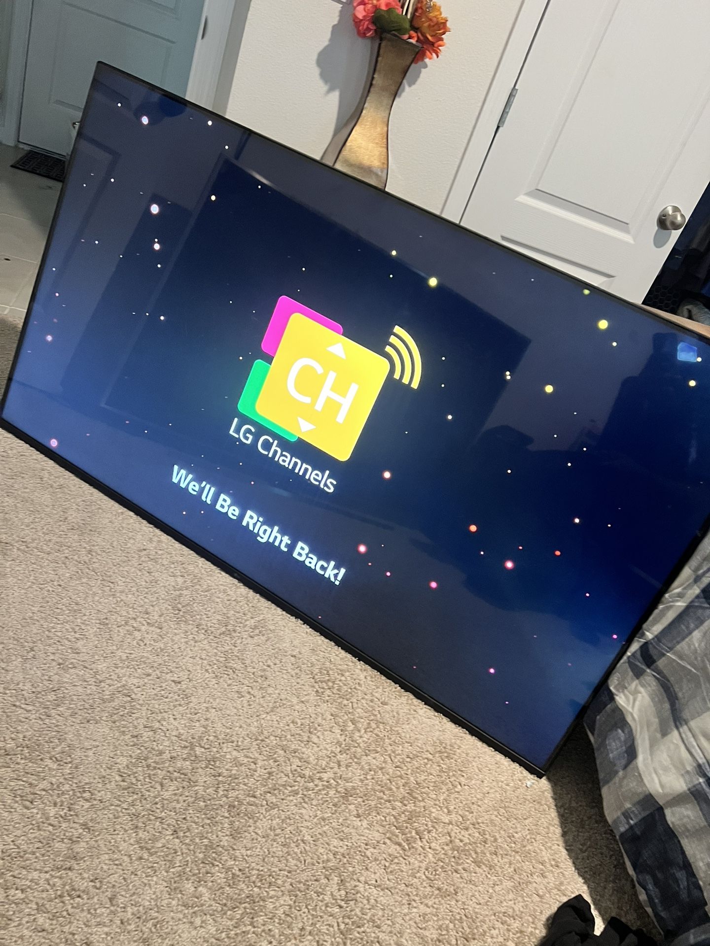 65 Inch LG TV 