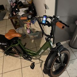 Electric Bike