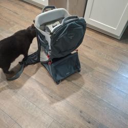 Hiking Kid Carrier Backpack 
