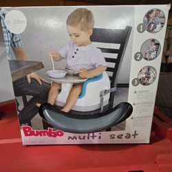 Brand New Necer Used Booster Seat