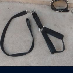 Harness For A Big Dog And Spike Collar