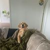 Frankie