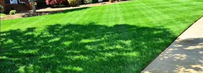 Lawn/ care