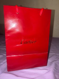 Santos de Cartier Large Model