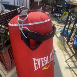 Ponching Bag  4 Feet High 