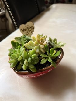 Cute Valentine Planter