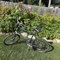 Men’s XL Frame Trek Bicycle 
