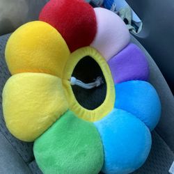 Pet Recovery Collar Cat Dog Pets 