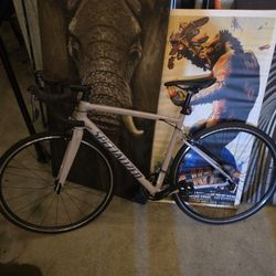 Specialized Bike Allez Like New 