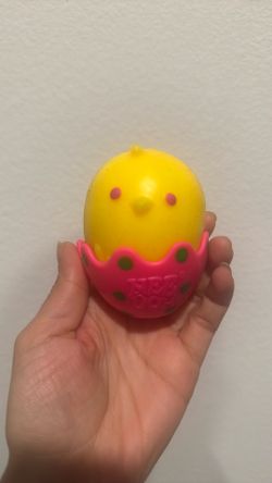 Needoh chick