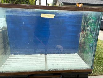 Reptile tank