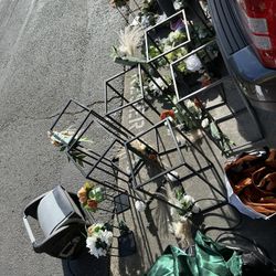 Wedding Haul