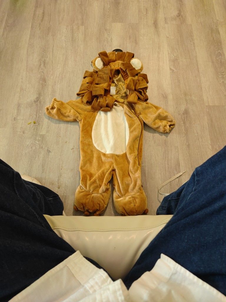 Childs Lion Costume