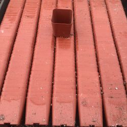 Pots Box