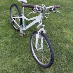 Giant Areva 24”