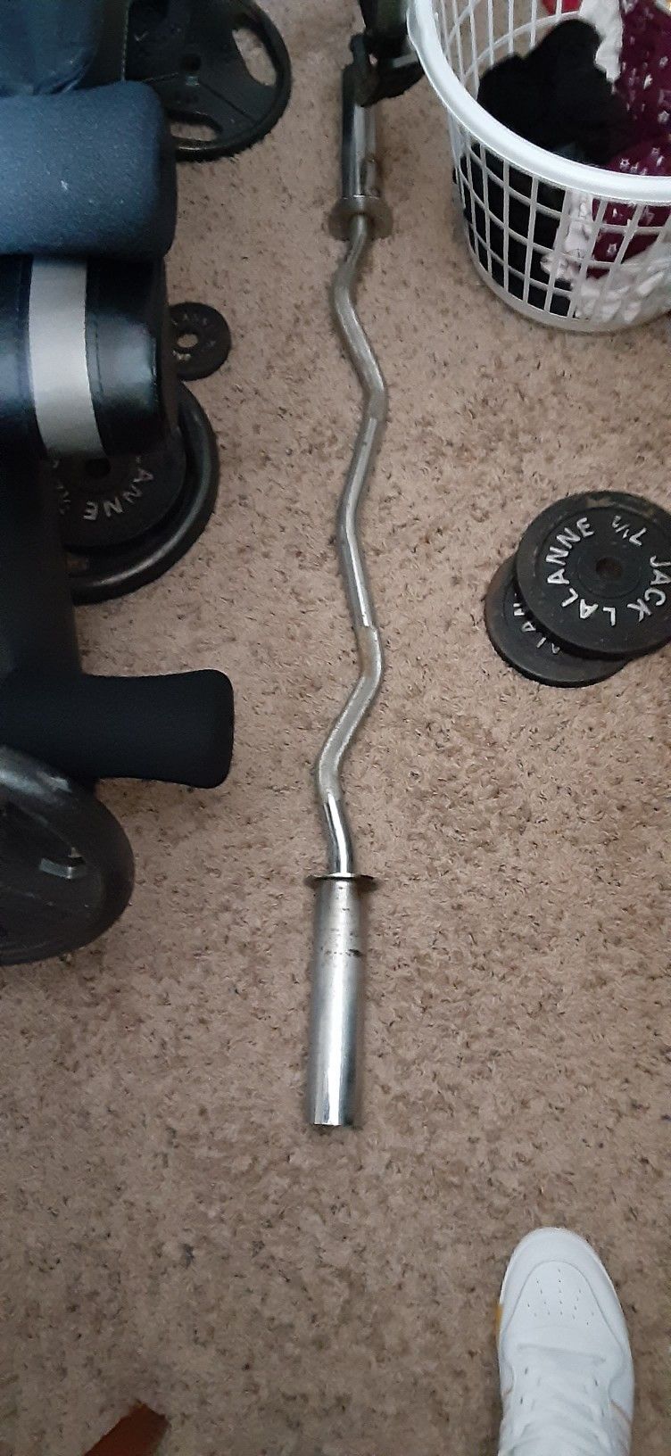 Olympic Curl Bar 60 