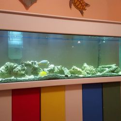 125 Gallon Aquarium