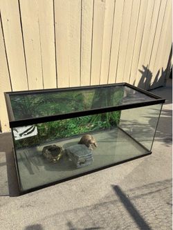 Reptile Terrarium
