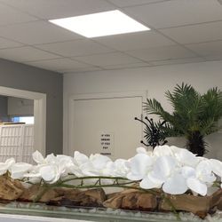 Big Aquarium / Orchid White Roots / Home Decoration / Decor