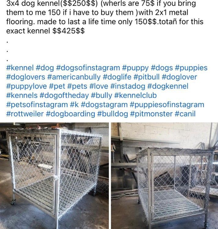 Dog Kennels Florida