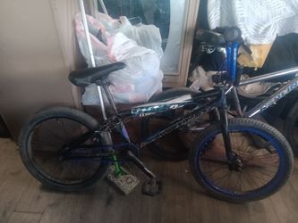 The 20th BMX cc