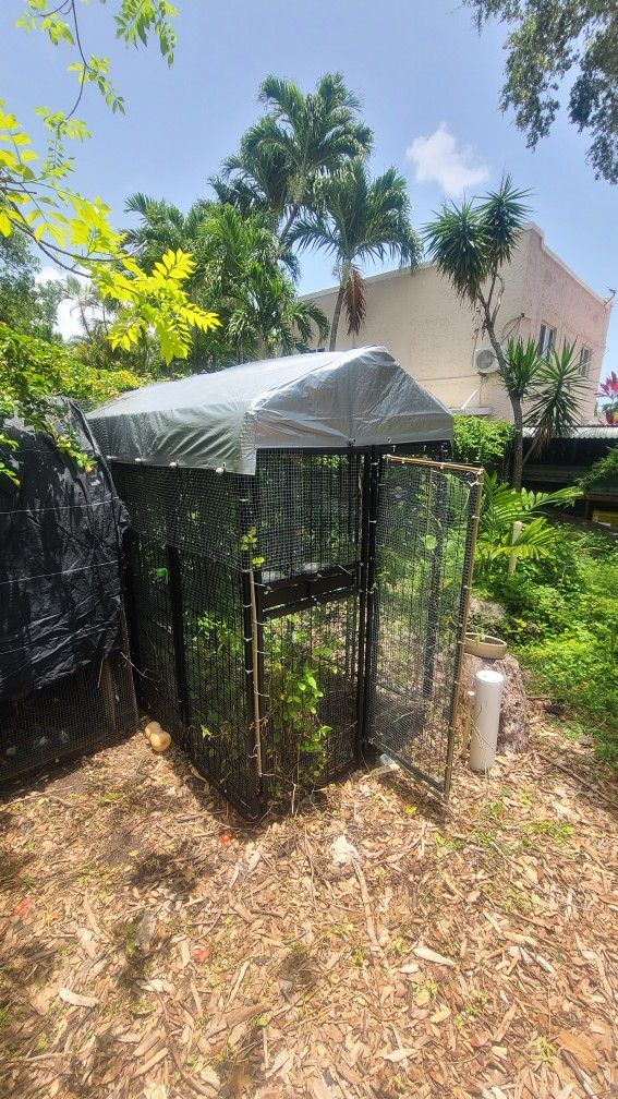 Aviary Bird Cage