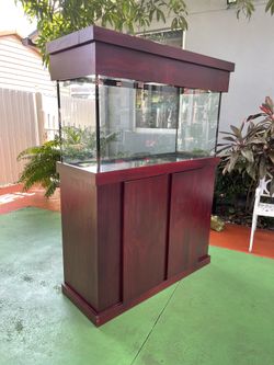 Aquarium 90 Gallons-Fish Tank 90 Gallon-Pecera