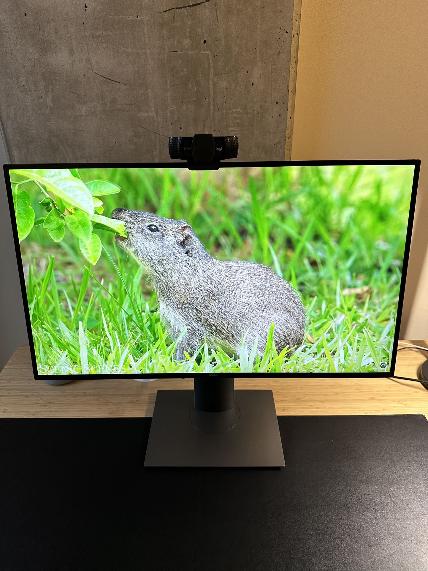 DELL U2520DR 25 Inch 1440p QHD UltraSharp IPS Monitor - MOVING (NEGOTIABLE)