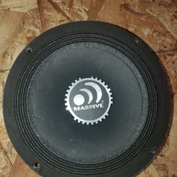 Massive Pro 8" Loud Speaker