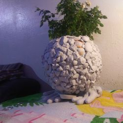 Pot