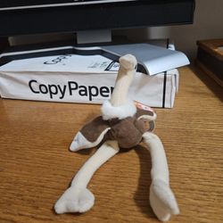 TY Beanie Babies "Stretchy The Ostrich" Mint 