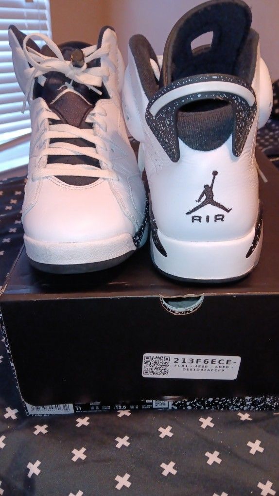 Jordan 6's Black Noir