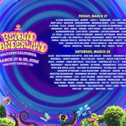 Selling Beyond Wonderland 2 day