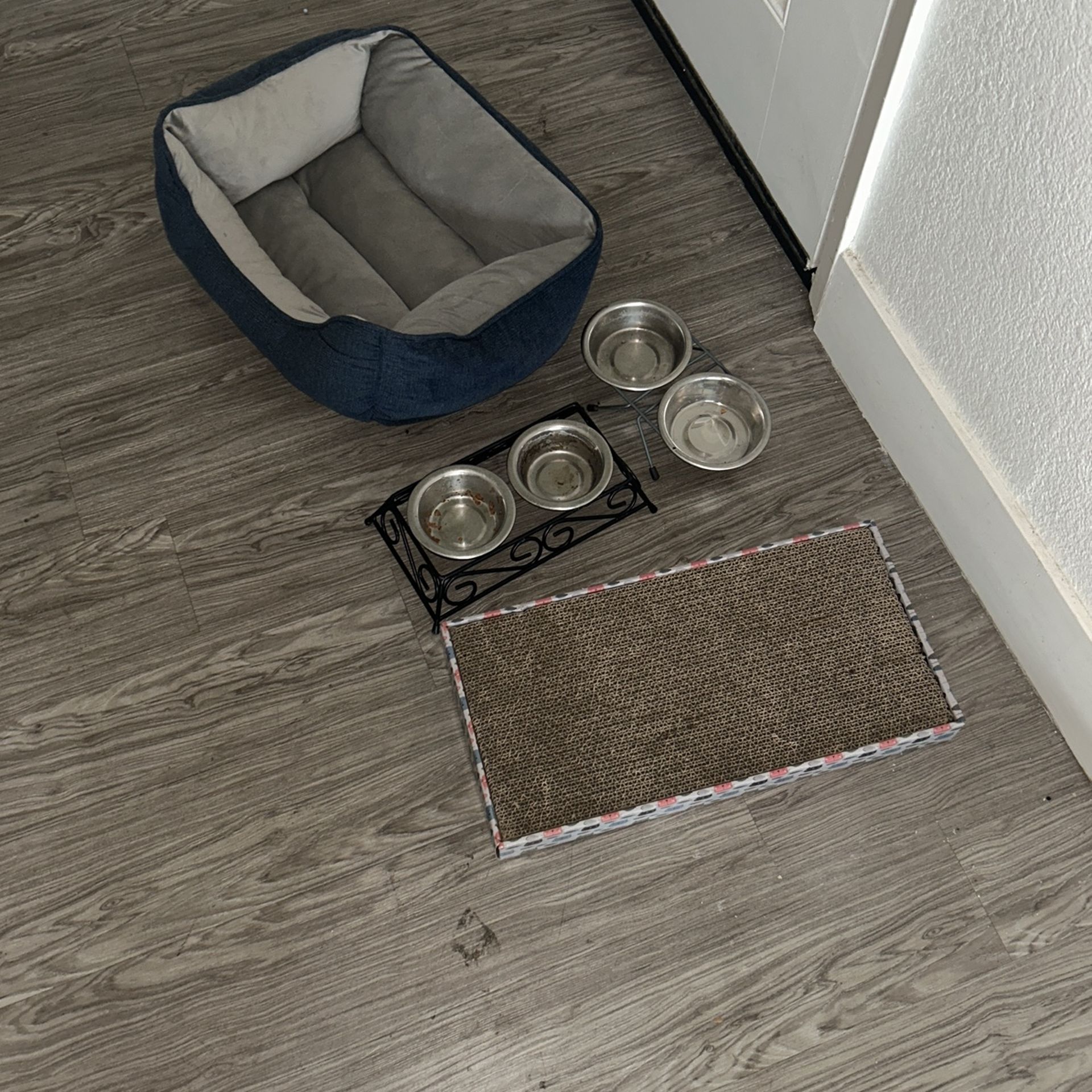 Cat Supplies